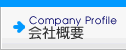 ЊTv