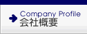 ЊTv