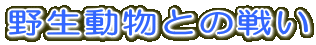 野生動物との戦い