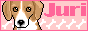[̃zyB̃W[AJڐ̂`B