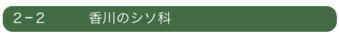 ２−２　　　香川のシソ科　　　　　