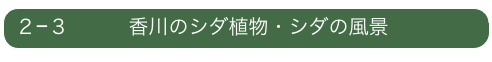 ２−３　　　香川のシダ植物・シダの風景　　　　