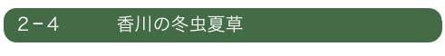 ２−４　　　香川の冬虫夏草　　　　