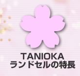 TANIOKAhZ̓