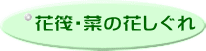 花筏・菜の花しぐれ